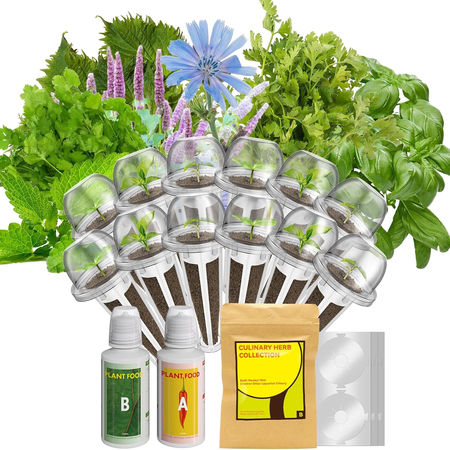 inbloom Herb Seed Pod Kits for AeroGarden, Ahopegarden IDOO Hydroponics Growing System Garden Indoor, 12-Pods, 350+ Seeds Included Basil, Parsley, Mint, Cilantro, Shiso, Liquorice, Chicory