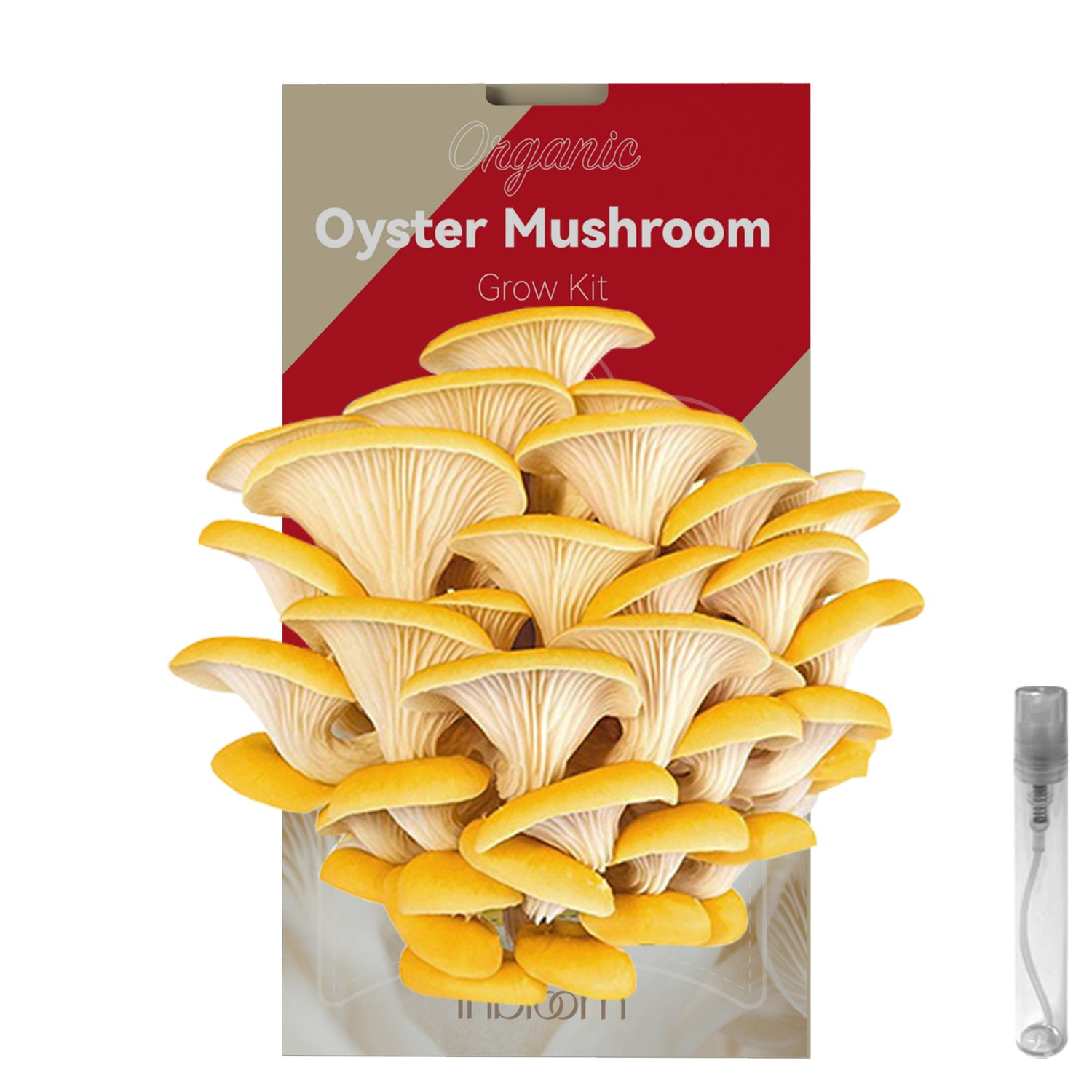 inbloom Organic Oyster Mushroom Growing Kit (3.5lbs), Double-Side Harvest Indoor Mushroom Grow Kit, Harvest in 10 Days, USDA Certified Organic, No-GMO, Made in USA