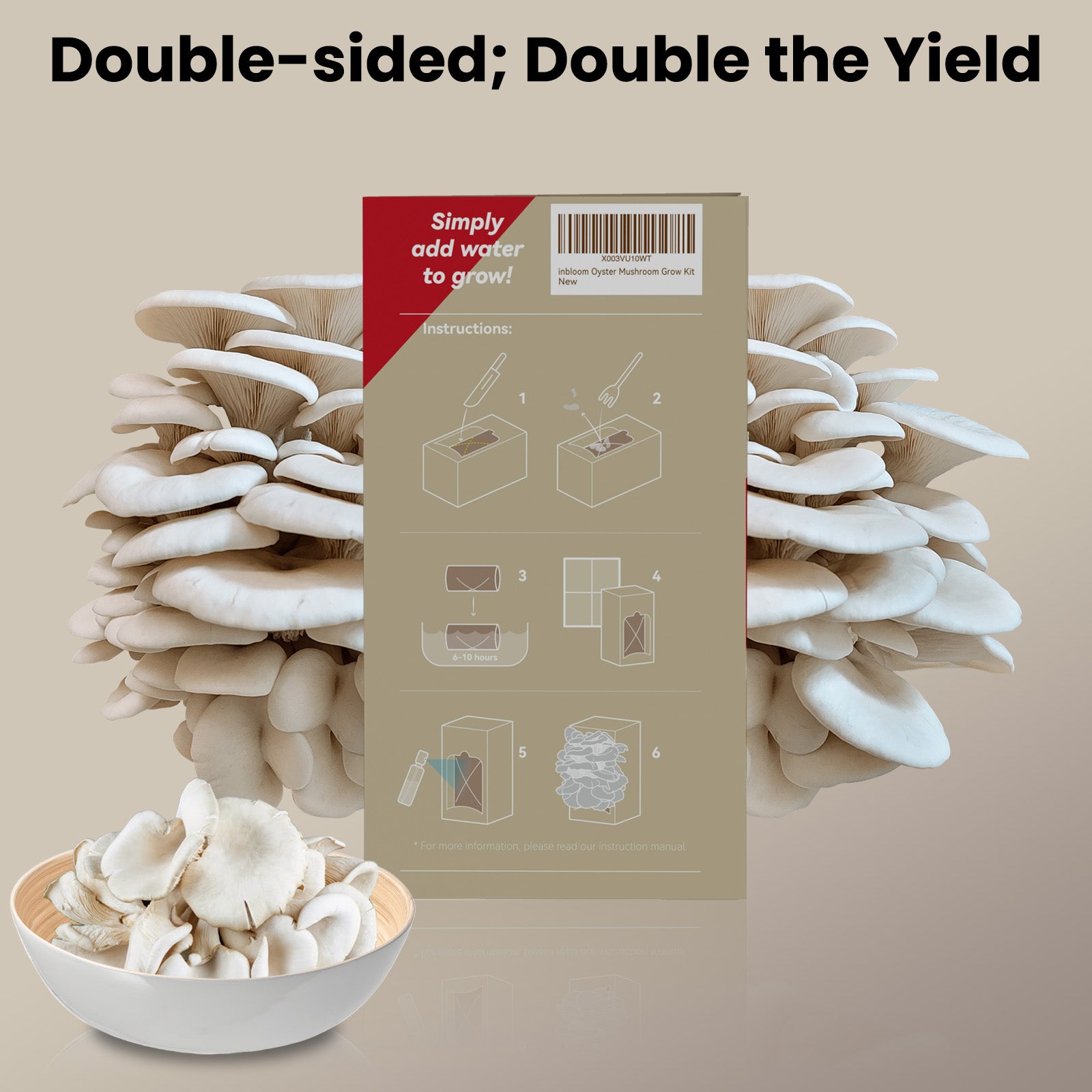 inbloom Organic Oyster Mushroom Growing Kit (3.5lbs), Double-Side Harvest Indoor Mushroom Grow Kit, Harvest in 10 Days, USDA Certified Organic, No-GMO, Made in USA