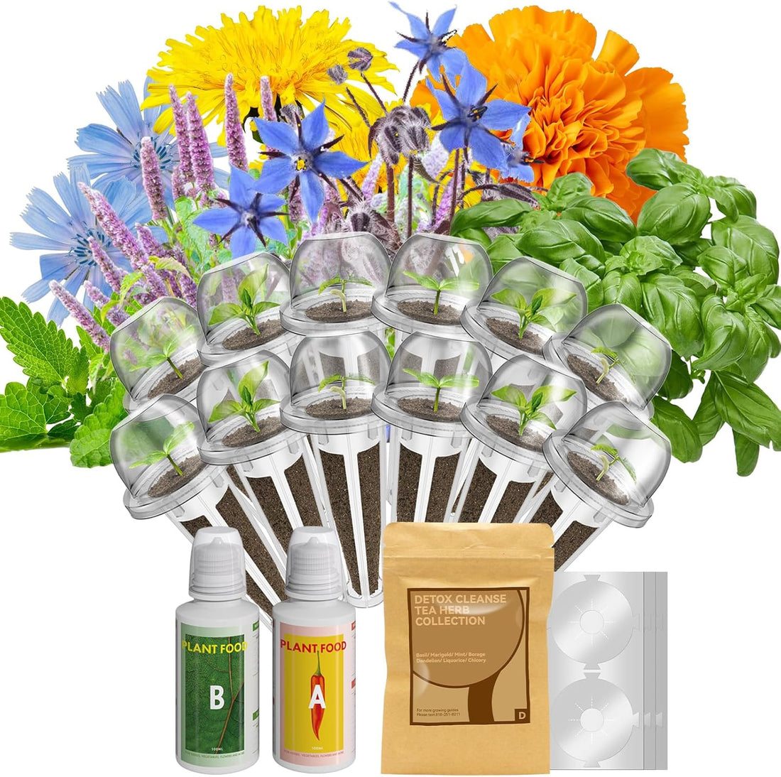 inbloom Basil Seed Pod kits for AeroGarden, idoo Hydroponics Growing System Garden, 12-Pods, 350+ Seeds, Indoor Herb Garden Include Basil, Marigold, Mint, Borage, Dandelion, Liquorice, Chicory