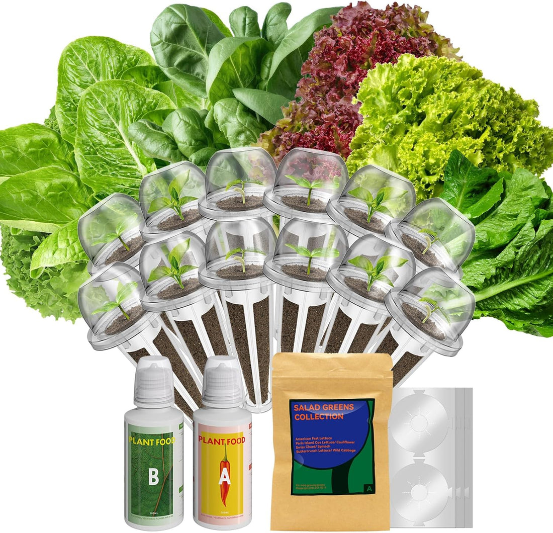 inbloom Salad Seed Pod kits for AeroGarden,idoo Hydroponics growing System Garden,12-pods,350+ Seeds include American fast lettuce,Paris island cos lettuce,Cauliflower,Swiss chard,Spinach,Wild cabbage